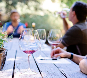 actividad cata de vinos