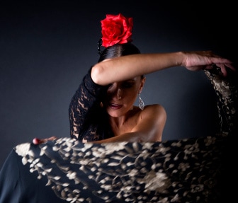 actividad flamenco